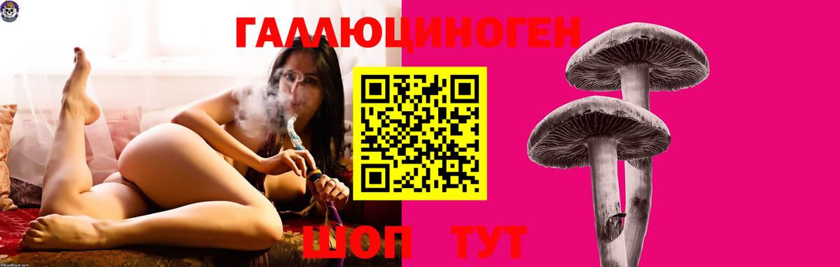 Псилоцибиновые грибы прущие грибы  Галлюциногенные грибы GOLDEN TEACHER  Кирово-Чепецк  Вход с VPN 
